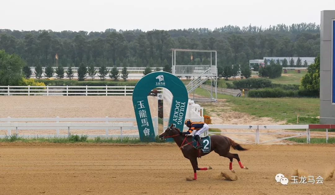 2019年玉龙国际公开赛年度短途王【华宇风度】